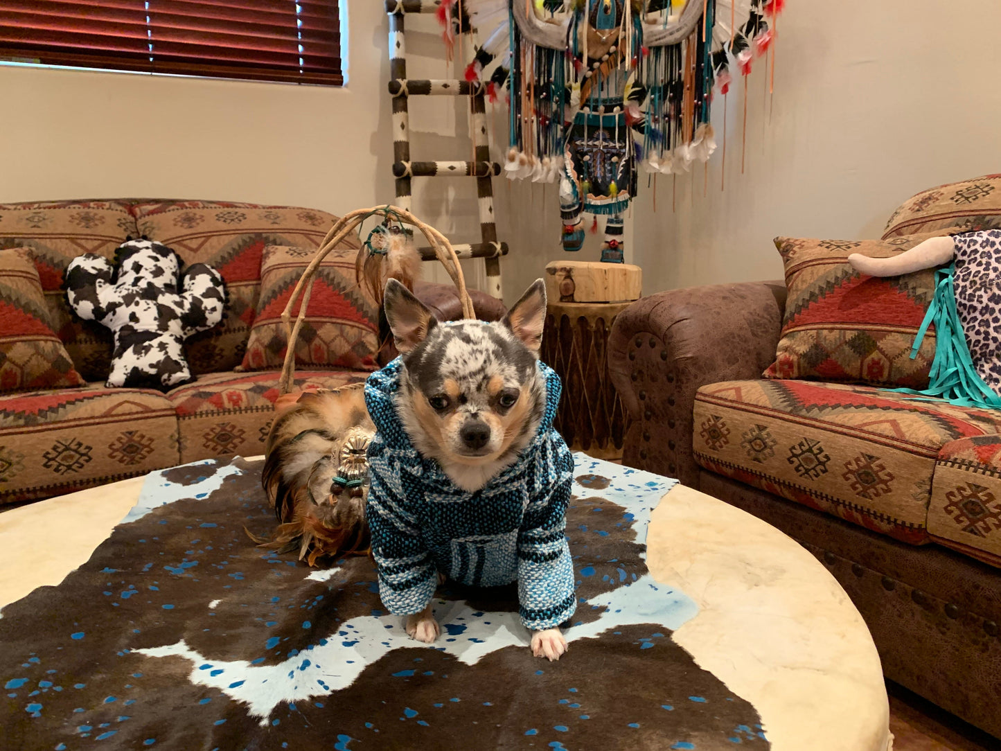 🐶MEDIUM DOG PONCHO  9-25   pounds